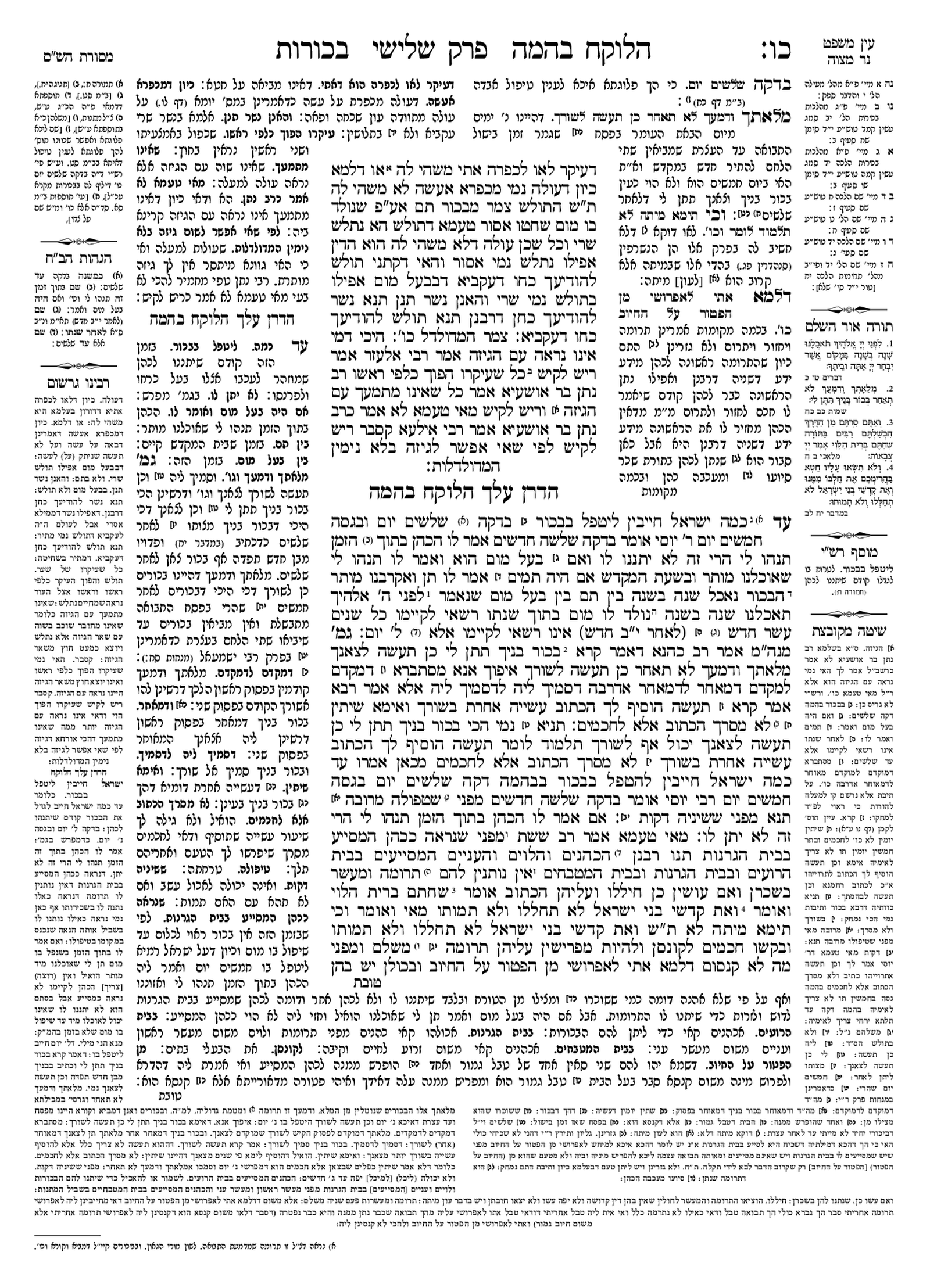 Preview of עמוד ב · Amud Bet